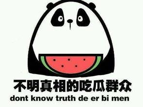 秋日吃瓜小说免费阅读,一场穿越时空的甜蜜邂逅  第1张